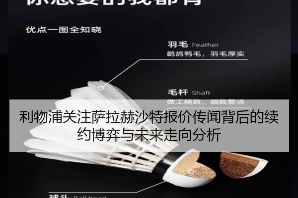 利物浦关注萨拉赫沙特报价传闻背后的续约博弈与未来走向分析（pg）